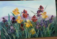 Iris-Field-Oil-24x36-$550